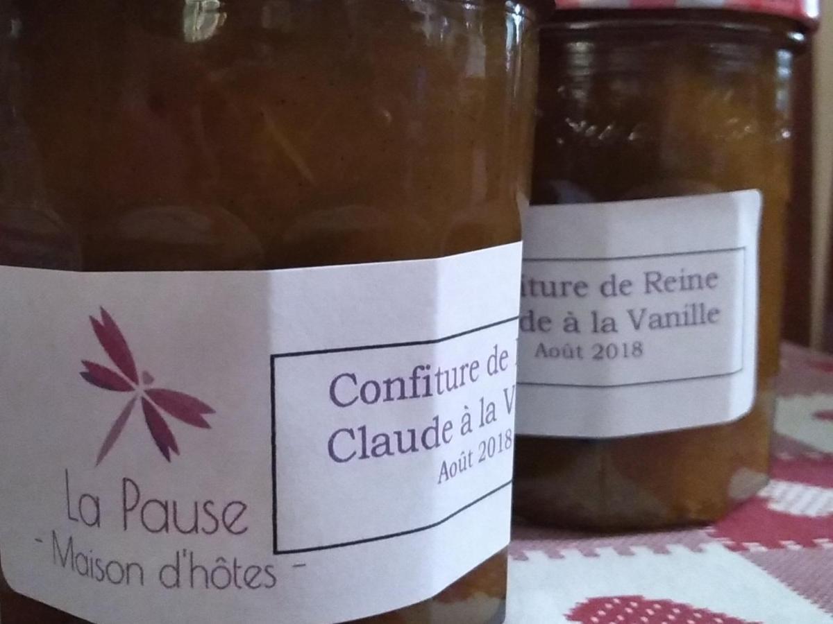 La Pause - Val De Loire Bed & Breakfast Chabris Luaran gambar