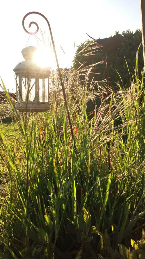 La Pause - Val De Loire Bed & Breakfast Chabris Luaran gambar