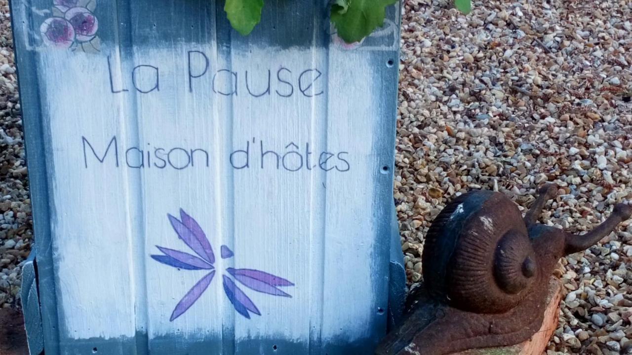 La Pause - Val De Loire Bed & Breakfast Chabris Luaran gambar