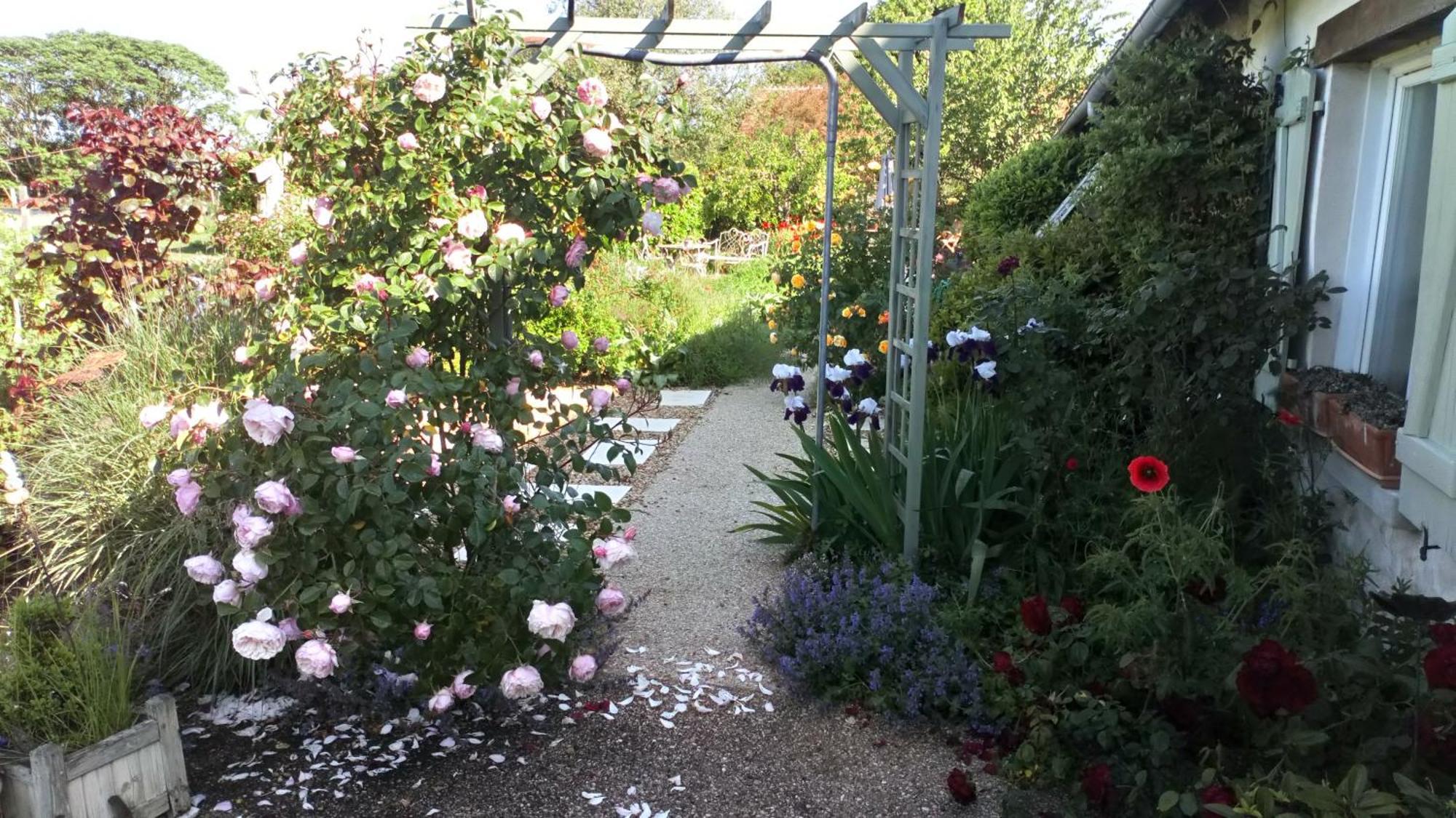 La Pause - Val De Loire Bed & Breakfast Chabris Luaran gambar